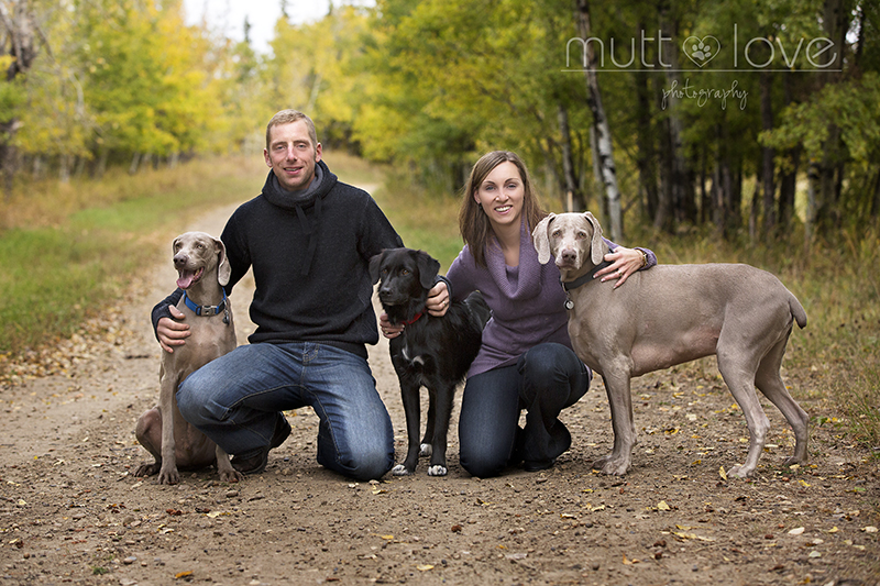 Riley Archie Odin, Archie and Riley - Mutt Love Photography